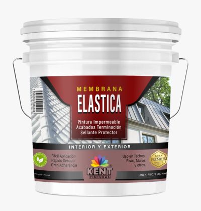 Membrana Elastica