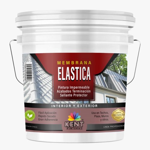Membrana Elastica