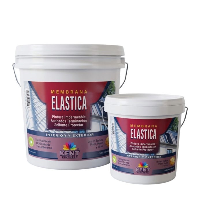 Membrana elastica